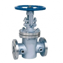 Heating steam jacket gate valve