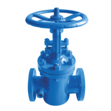 Cast steel full jacketed gate valve