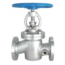 Steam jacketed globe valve