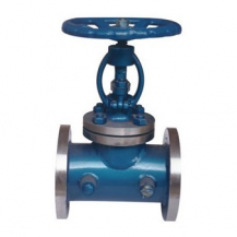 Cast steel full jacketed globe valve