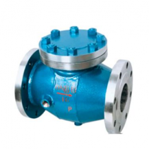 Cast steel full jacketed check valve