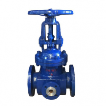 Jacketed gate valve with insulation jacket