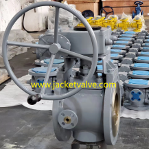 Full jacketed plug valve