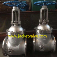 Stainless steel jacketed gate valve